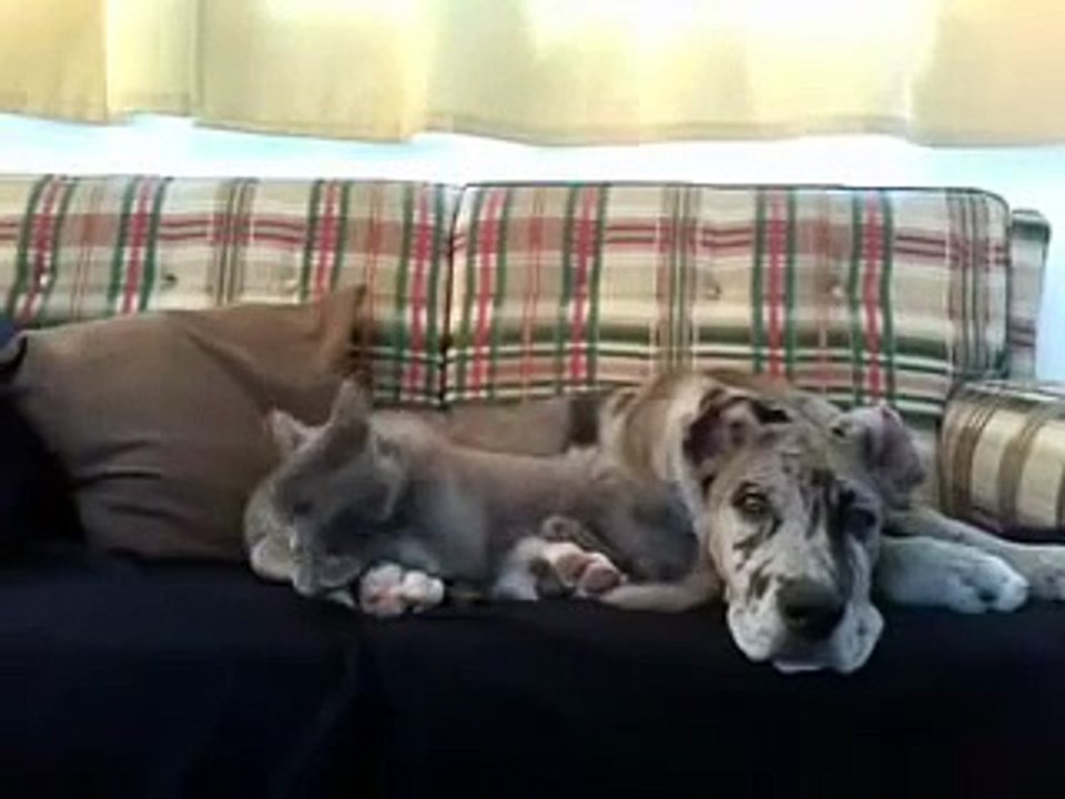 Классические отношения мужчины и женщины