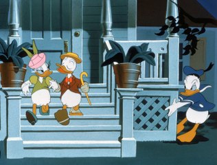 Complete Collection of Donald Duck & Spike the Busy Bee - Full Cartoons HD