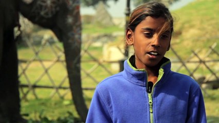 Elephant,Champa mera sathi- (Champa my friend)