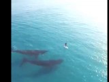 A Bold Man Dives Right Next to 2 Huge Sharks & Escaped