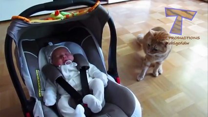 Cats and dogs react to babies - Cute animal & baby compilation