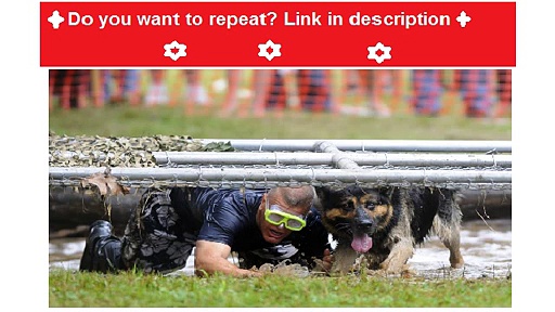 Can I Give My Dog Xanax