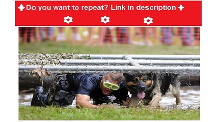 How Much Does A Dog Trainer Make