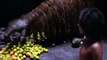 The Jungle Book Official Teaser Trailer #1 (2016) - Scarlett Johansson, Bill Murray Movie HD - YouTube