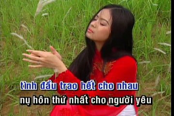 Tâm sự đời tôi - Trường Vũ Karaoke HD