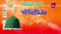 Jashan e Eid Milad Un Nabi 2015 asipak.com