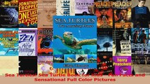 Download  Sea Turtles Sea Turtle Book for Kids  Fun Facts and Sensational Full Color Pictures PDF Online