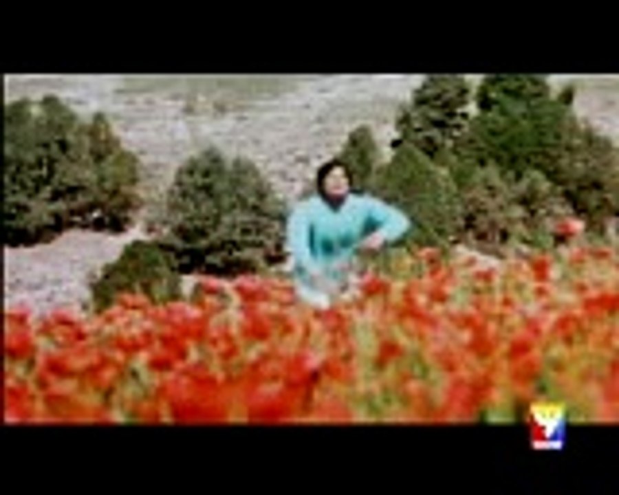 YEA MOHBBAT HA 03456450152