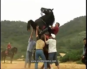 Atlardan Şık Hareketler