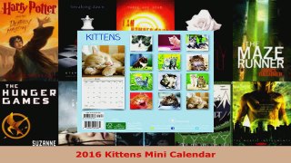 Read  2016 Kittens Mini Calendar EBooks Online
