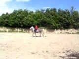 Départ Au Galop A DroiteDu Pas