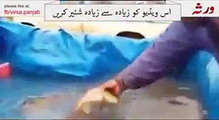 VID-20151114-WA0026