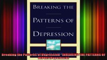 Breaking the Patterns of Depression   BREAKING THE PATTERNS OF DEPRE Paperback