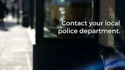 a dog shivering in the cold