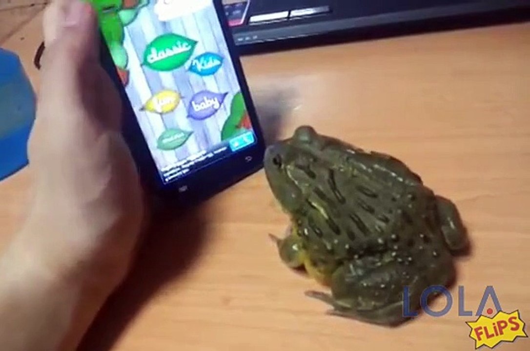 Frog Catches Bugs on Phone Screen
