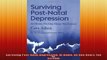 Surviving PostNatal Depression At Home No One Hears You Scream