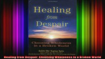 Healing from Despair Choosing Wholeness in a Broken World