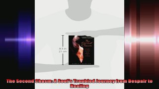 The Second Chasm A Souls Troubled Journey from Despair to Healing