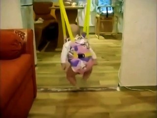 Такую лезгинку вы еще не видели )