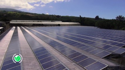 "L'agriénergie", héros du climat : Eric Scotto, président Akuoénergie