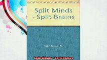 Split Minds  Split Brains