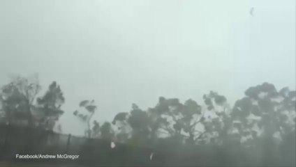 Resident films destruction as tornado tears through Kurnell