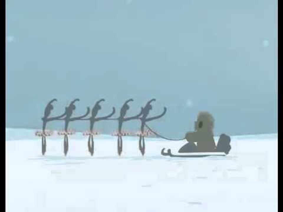 Вот что будет, если в сани запрячь балерин, а не хаски