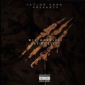 Wiz Khalifa -  Foreign Bitches Freak Dips ft Chevy Woods (prod by DP Beats)