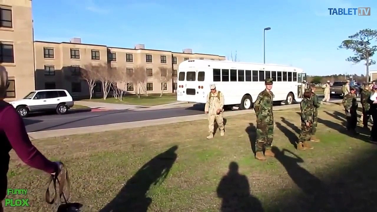 To je ale radosť! Takto sa tešia psy a mačky, keď sa domov vráti pán