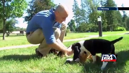 Naissance des premiers chiots éprouvettes