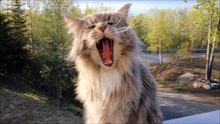 Guckt mal..