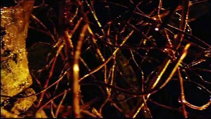 Crimson Rivers 2 : Angels of the Apocalypse / Les Rivières pourpres 2 - Les anges de l'Apocalypse (2004) - Trailer