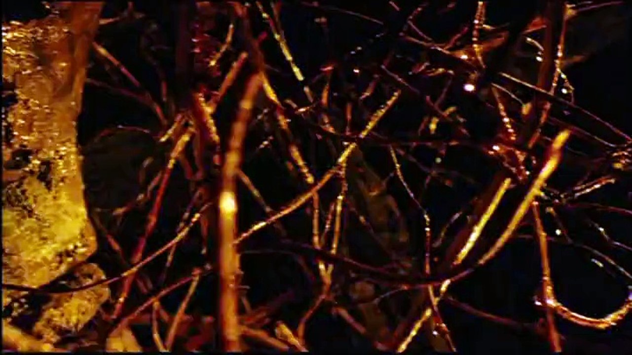 Crimson Rivers 2 : Angels of the Apocalypse / Les Rivières pourpres 2 - Les anges de l'Apocalypse (2004) - Trailer