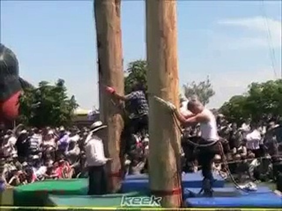 Saala_Aadmi_Hai_Ya_Bandar_-_Very_Fast_Climbing
