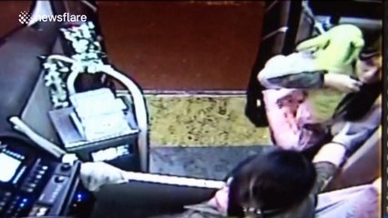 Woman carrying 'dog dressed as baby' kicked off China bus