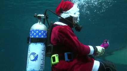 A Séoul, le père Noël fait de la plongée dans un aquarium