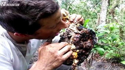 Hayatta Kalma Hakkında Yanlış 8 Bilgi