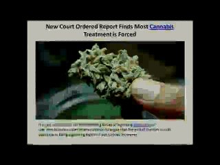 New Court Ordered Report Finds Most Cannabis Treatment is Forced