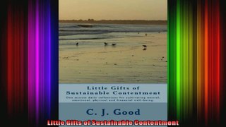 Little Gifts of Sustainable Contentment