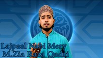M.Zia Raza Qadri - Lajpaal Nabi Mery