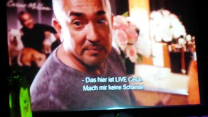 Cesar Millan 15.12.2015 München Olympiahalle