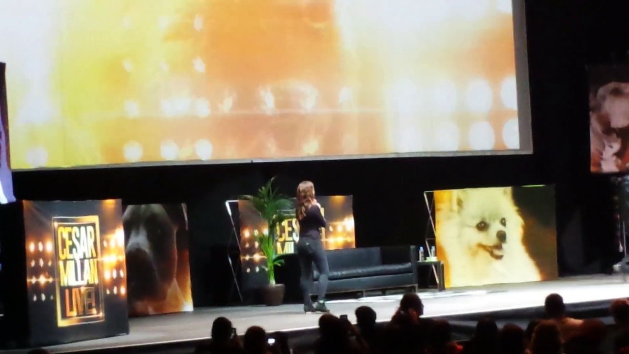 Cesar Millan München Olympiahalle 15.12.2015