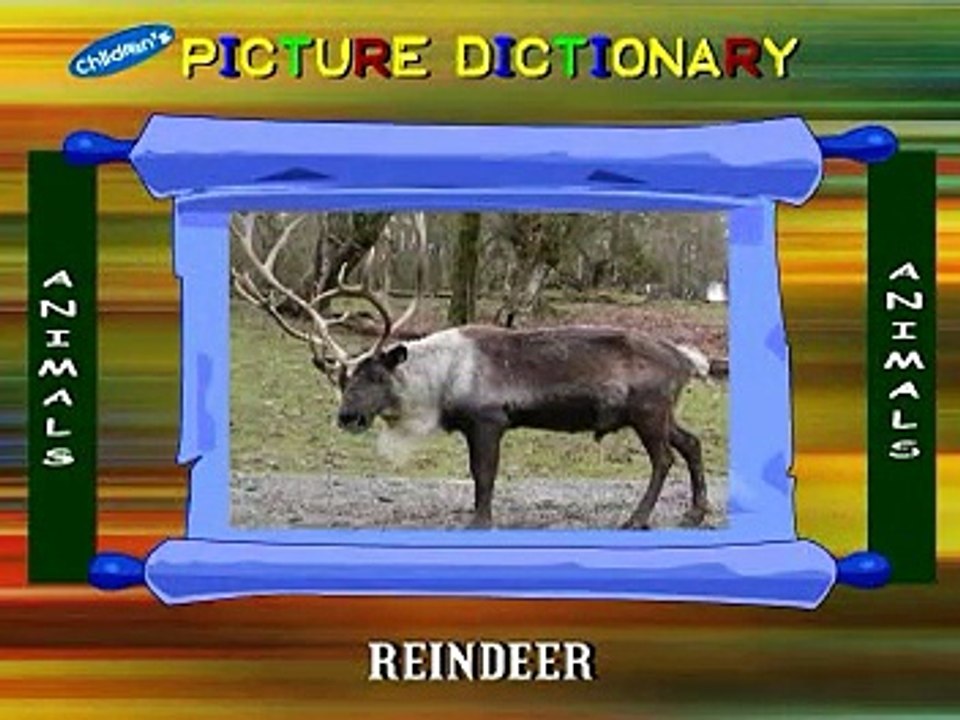 Animals Name Famous Nursery Rhymes 2015 (Kids Cartoon)