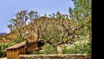 ARPA MEXICANA, _ Cuando veo el amanecer _ canción ranchera de Michoacán. (480p)