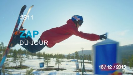 ZAP DU JOUR #311 : Illusions d'optiques anamorphiques - Brusspup / Un chat tabasse une peluche / Tortank VS Dracaufeu / Le rythme dans la peau /