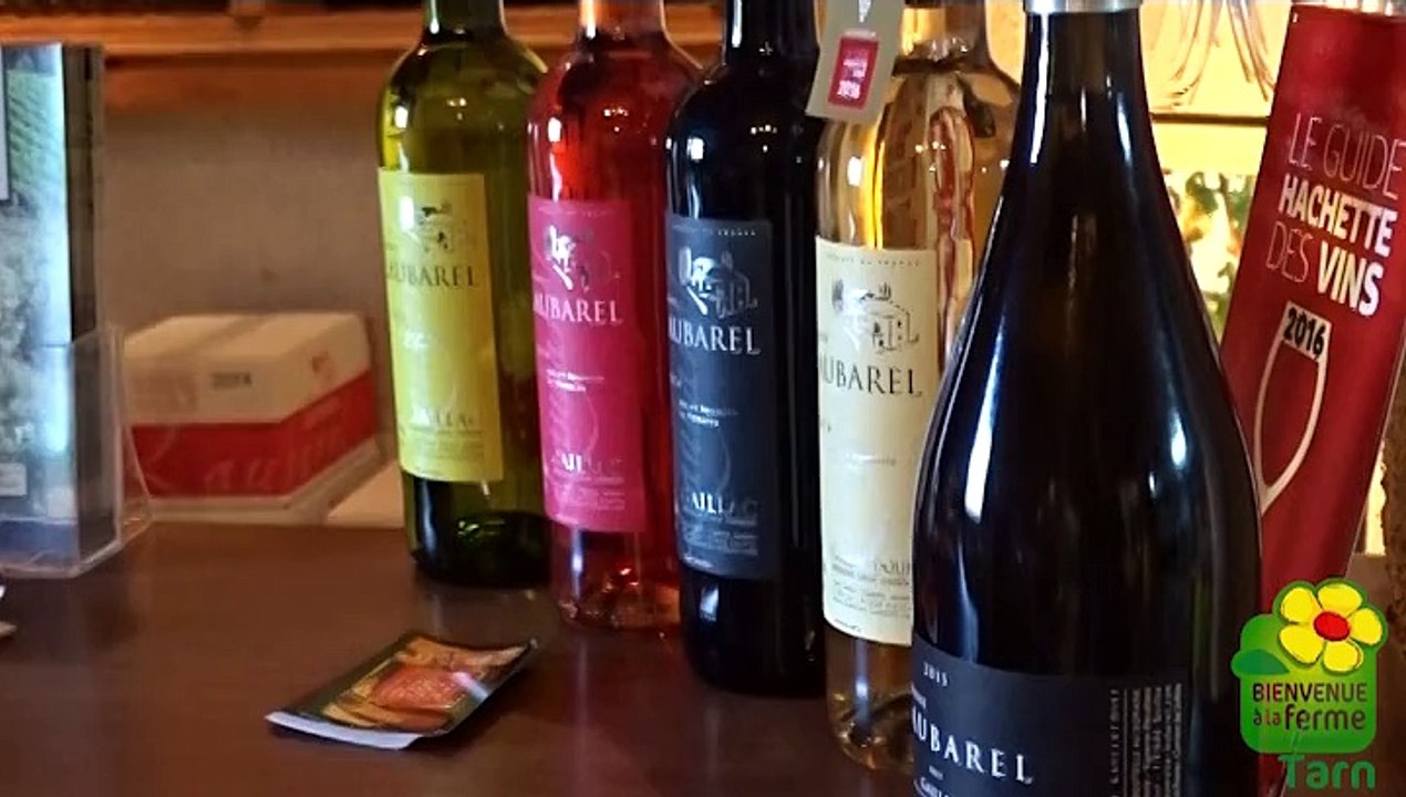 Le Domaine Laubarel - Gaillac
