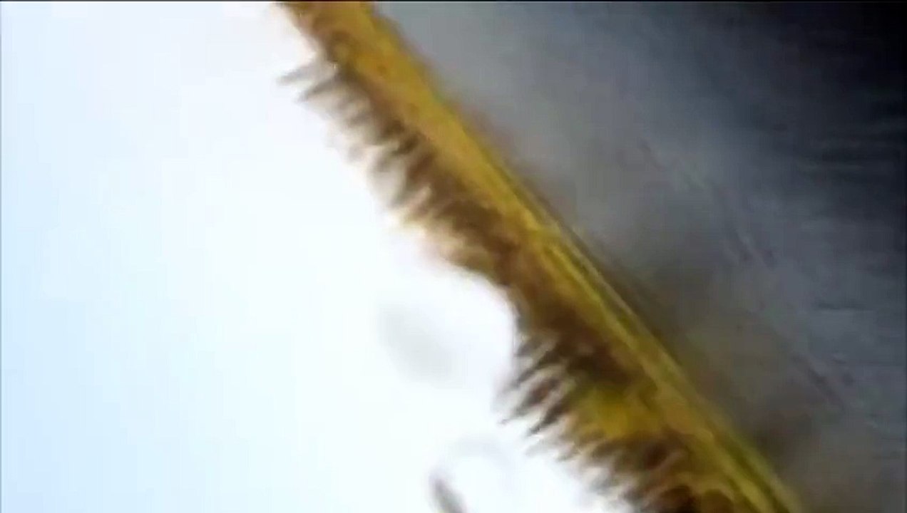 Рыбалка часть 23 Подводная съемка