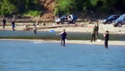 Ход лосося 3