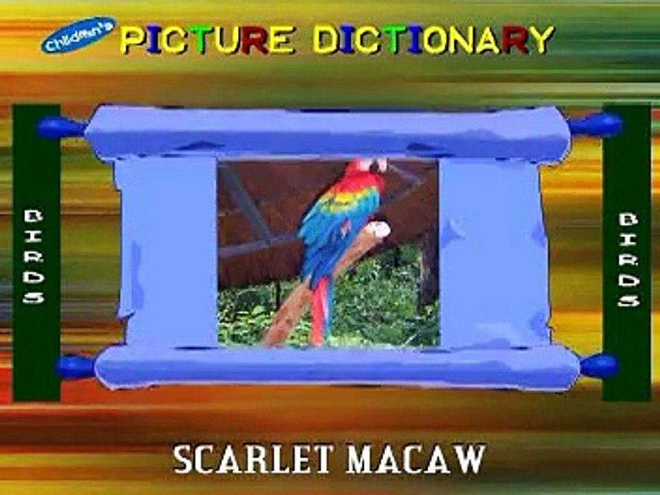 Birds Name Nursery Rhymes 2015 Kids Cartoon Official channel