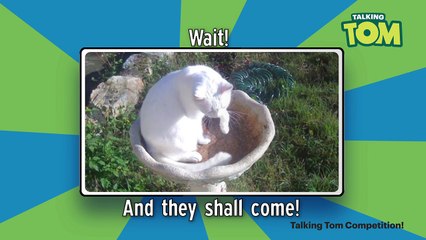 Talking Tom Cat Caption Competition Winners Video!